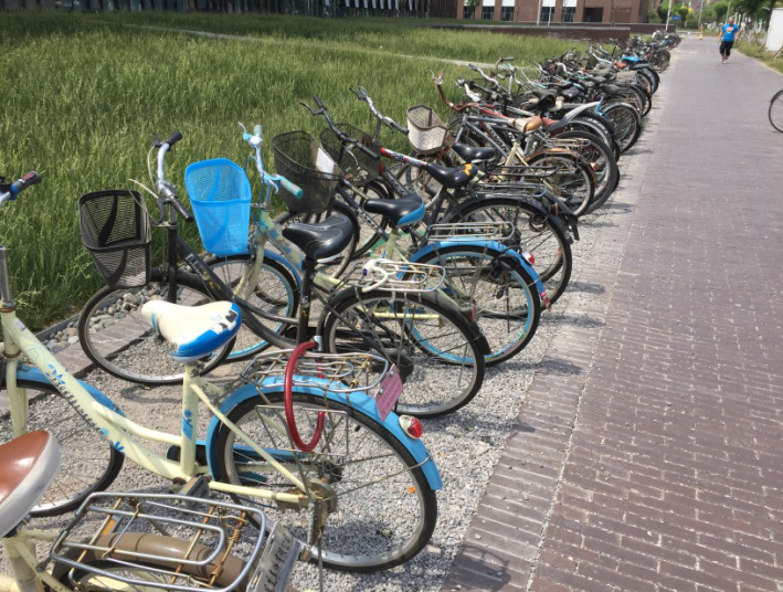 校园观察校园自行车摆放文明一小步安全颜值一大步