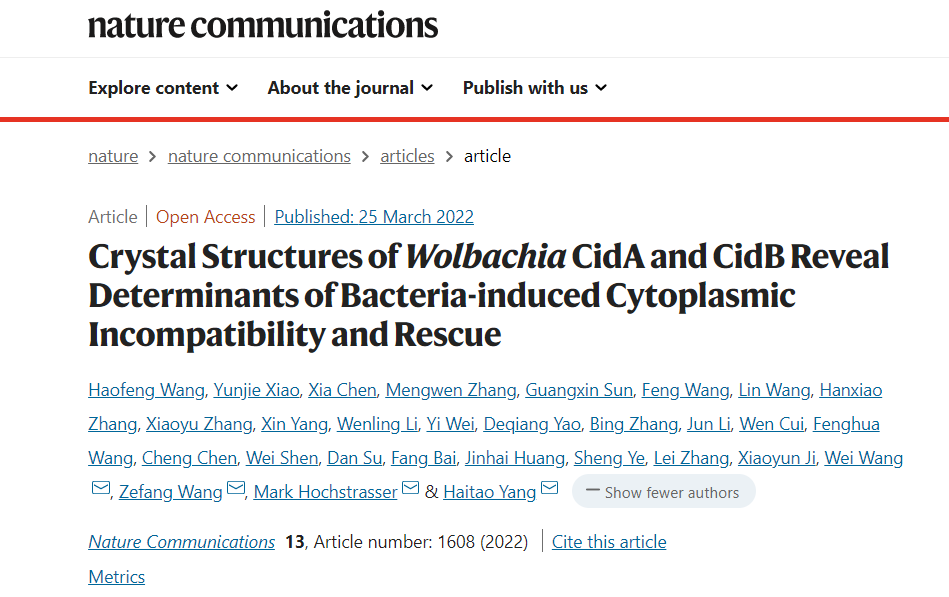 诱导两性配子结合时的胞质不相容性现象(cytoplasmic incompatibility