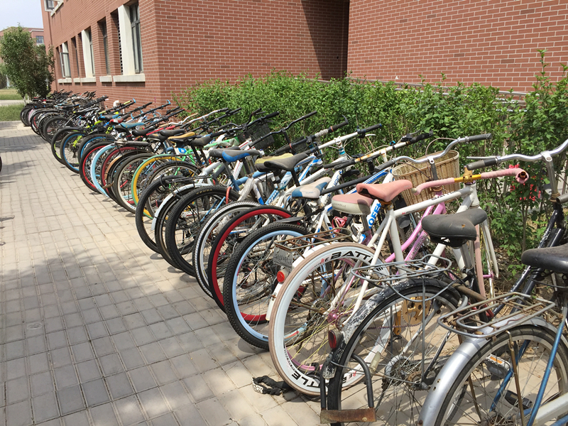 校园观察校园自行车摆放文明一小步安全颜值一大步