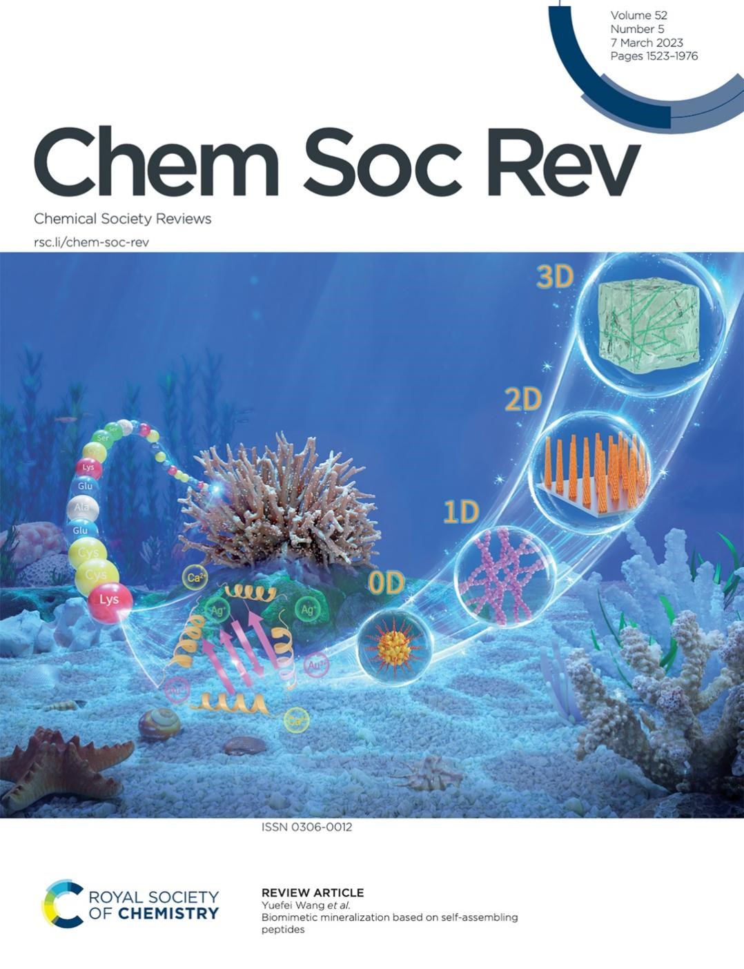 正封面论文！天津大学化工学院青年教师《Chemcal Society Reviews》高 