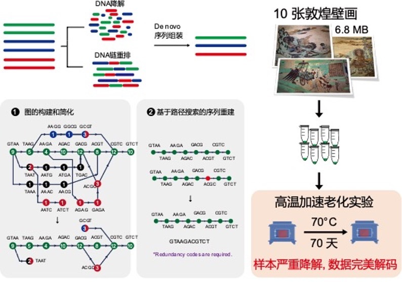 央视新闻天津大学团队创新DNA存储算法 让敦煌壁画再活千年 天津大学新闻网