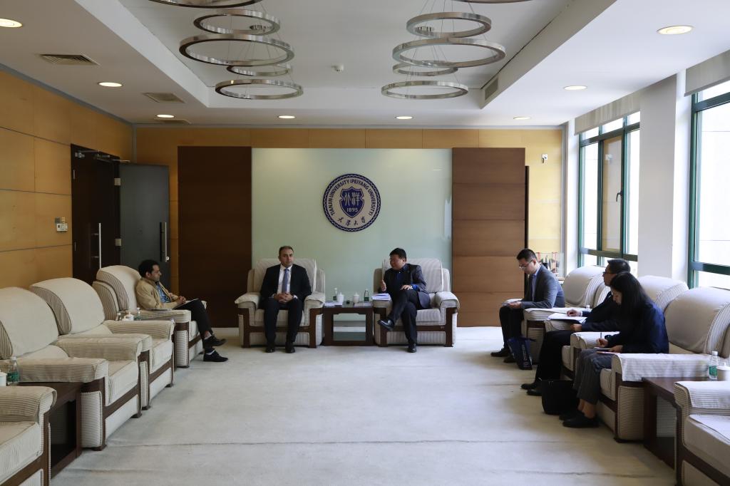 巴基斯坦驻华大使馆图片